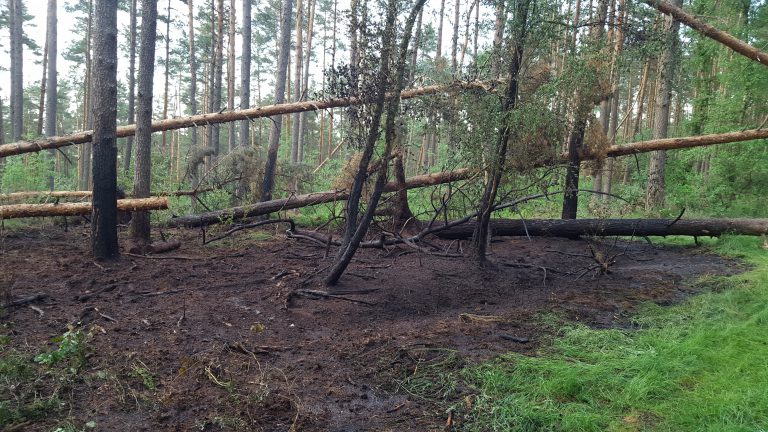 Waldbrand Nahrendorf-Kovahl 25.05 (5)