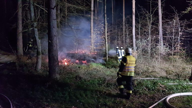 Flächenbrand 18.04.20 (1)