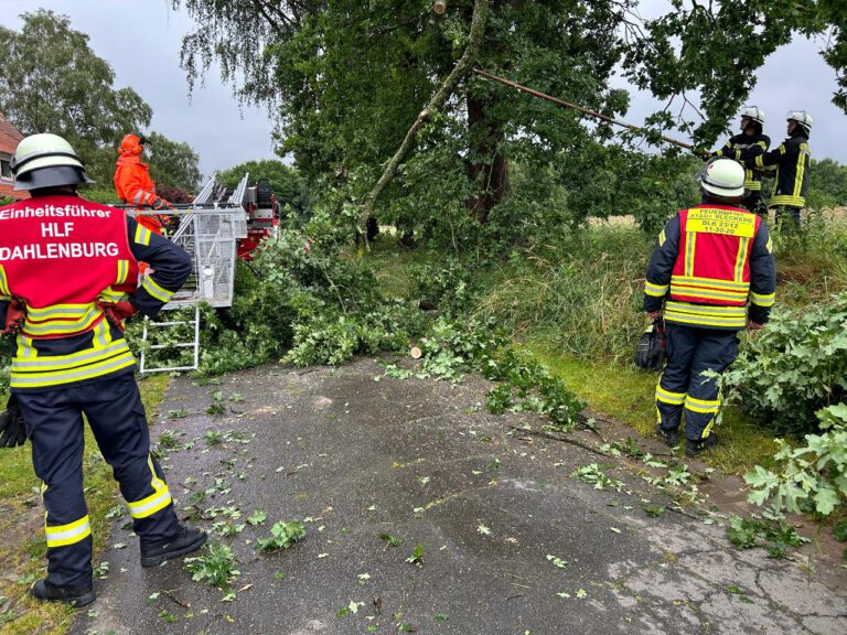 Bild9_FF Dahlenburg Wilhelminenhof - Kopie