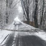 631630284_1324246266402697_6628463922810537783_n