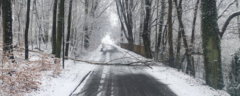 631630284_1324246266402697_6628463922810537783_n