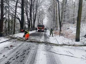 634890199_1324246336402690_8317812485696821942_n